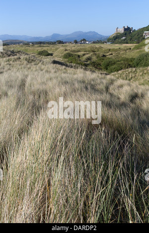 Città di Harlech, Galles. Le dune di sabbia della spiaggia di Harlech con Harlech Castle e il Parco Nazionale di Snowdonia in background. Foto Stock