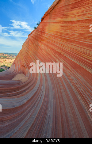 Le formazioni rocciose del nord Coyote Buttes, parte delle scogliere di Vermilion monumento nazionale. Questa zona è anche conosciuta come la forma d'onda. Foto Stock