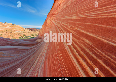 Le formazioni rocciose del nord Coyote Buttes, parte delle scogliere di Vermilion monumento nazionale. Questa zona è anche conosciuta come la forma d'onda. Foto Stock