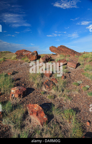 Stati Uniti d'America, Arizona, Holbrook, Parco Nazionale della Foresta Pietrificata, legno pietrificato sui registri gigante Trail Foto Stock