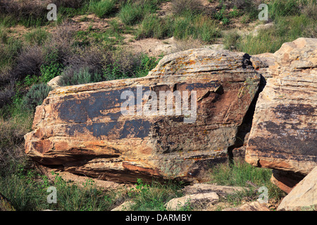 Stati Uniti d'America, Arizona, Holbrook, Parco Nazionale della Foresta Pietrificata, antiche incisioni rupestri Foto Stock