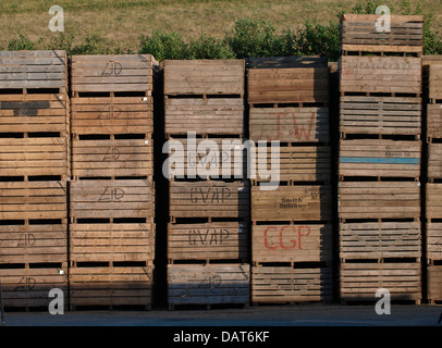 Pila di casse in legno su fattoria pronto per le patate per essere raccolte, Devon, Regno Unito 2013 Foto Stock