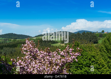 Vista panoramica della Haute Loire. Le Fort du Pré hotel boutique. Saint-Bonnet-le-froid. Auvergne Foto Stock