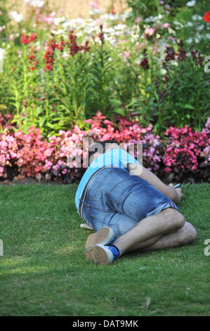 Hyde Park, London, Regno Unito. Il 18 luglio 2013. Un uomo dozes da un letto di fiori in Hyde Park. Credito: Matteo Chattle/Alamy Live News Foto Stock