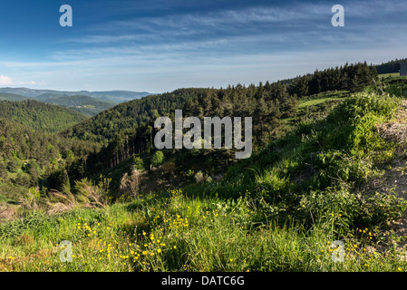 Vista panoramica della vista panoramica della Haute Loire campagna. Auvergne. Francia Foto Stock