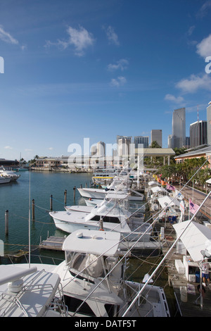 La pesca Noleggio barche Bayside Marketplace MARINA skyline del centro di Miami, Florida, Stati Uniti d'America Foto Stock