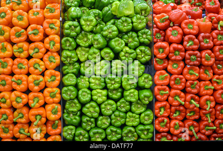 Peperoni in vendita a fairway supermercato di Long Island Foto Stock