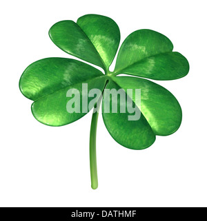 Quattro leaf clover impianto come un simbolo irlandese per un verde di fascino fortunato icona della buona sorte e la fortuna come un opportunità per il successo isolato su uno sfondo bianco. Foto Stock