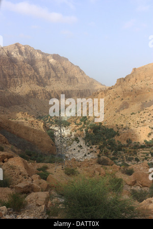 Wadi Tiwi Oman Foto Stock