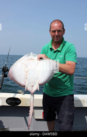 Fisherman Holding Thornback Ray Raja clavata Foto Stock