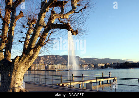 Vista dal lago di Ginevra su una parte di Ginevra, 06 marzo 2007. Foto: Bernd Weissbrod Foto Stock