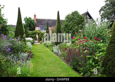 Ritagliato yew guglie del Yew a piedi a Wollerton Old Hall Giardini Giardino Wollerton Market Drayton Shropshire England Regno Unito Foto Stock