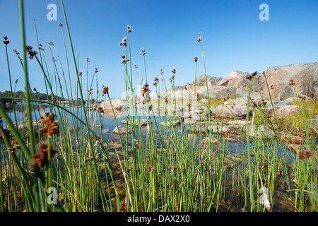 Kökar - Åland, Finlandia Foto Stock