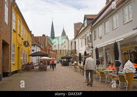 Ribe South West Jutland in Danimarca UE cercando lungo Overdammen ciottoli alla Cattedrale nella città più antica della Danimarca Foto Stock