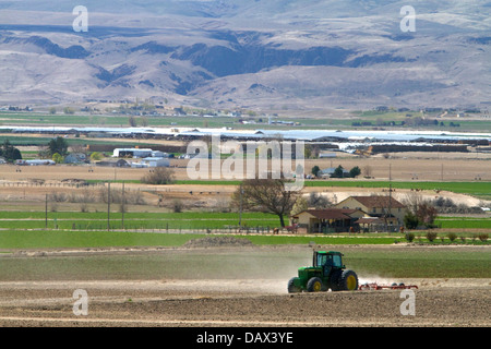 Trattore utilizzato per la molla di dissodamento in Canyon County, Idaho, Stati Uniti d'America Foto Stock