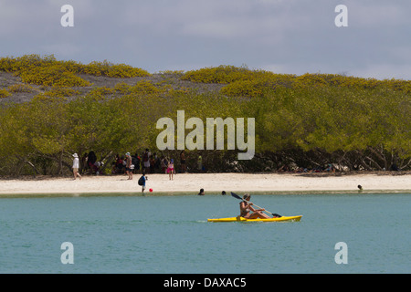 Tortuga Bay, Isola di Santa Cruz, Isole Galapagos, Ecuador Foto Stock