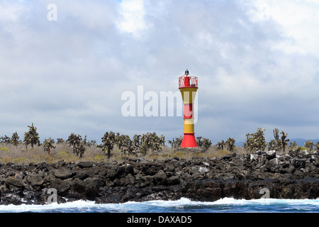 Faro di Punta Estrada, Isola di Santa Cruz, Isole Galapagos, Ecuador Foto Stock