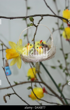 Una decorazione di Pasqua che mostra un ramo proveniente in bud decorata con un cesto di piccola azienda di pulcini e uova. Foto Stock