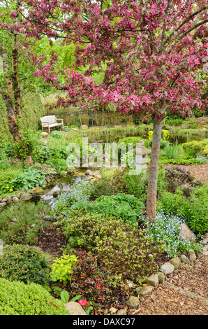 Crab Apple (malus x moerlandsii "profusione') in un perenne giardino con ruscello e laghetto in giardino. design: marianne e detlef lüdke Foto Stock