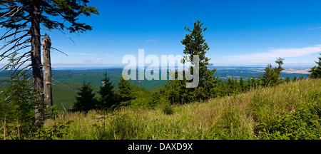 Foresta Turingia, vista da Inselsberg, Turingia, Germania Foto Stock