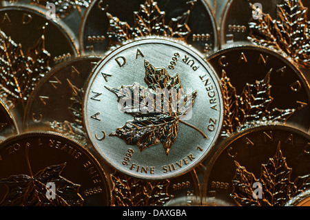 Molti silver bullion monete dal Canada, .9999 in pura oncia troy di argento Canadian Maple Leaf investment grade precedente denaro in metallo Foto Stock