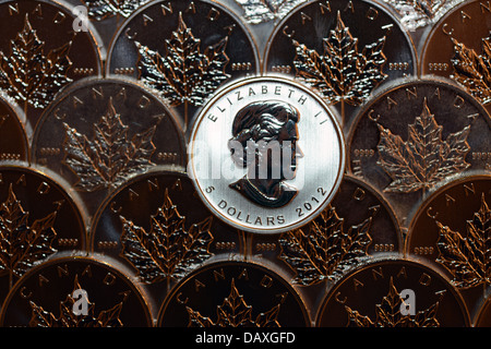 Molti silver bullion monete dal Canada, .9999 in pura oncia troy di argento Canadian Maple Leaf investment grade precedente denaro in metallo Foto Stock