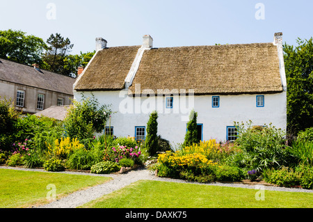 Vecchio Irish cottage con il tetto di paglia con un ben mantenuto e giardino piantumato Foto Stock