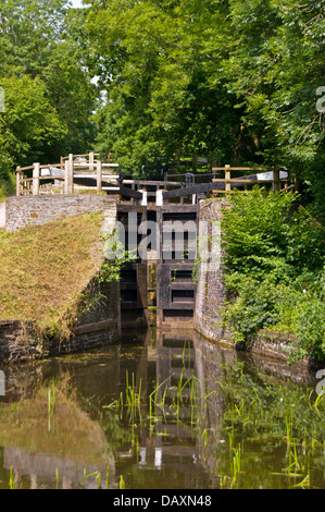 Restaurato di recente si blocca sul Monmouthshire & Brecon canal (Mon & Brec), Newport, Wales, Regno Unito Foto Stock