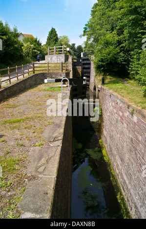 Restaurato di recente si blocca sul Monmouthshire & Brecon canal (Mon & Brec), Newport, Wales, Regno Unito Foto Stock