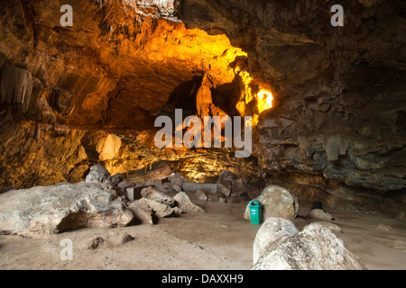 Gli interni di una grotta, Borra Grotte, Ananthagiri colline, Araku Valley, Visakhapatnam, Andhra Pradesh, India Foto Stock