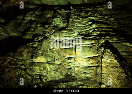 Formazione di roccia in una grotta, Borra Grotte, Ananthagiri colline, Araku Valley, Visakhapatnam, Andhra Pradesh, India Foto Stock