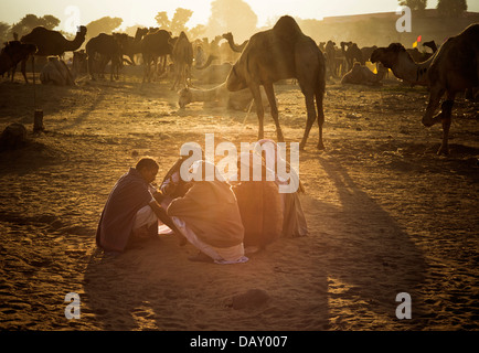 Di scena a Pushkar Camel Fair, Lago di Pushkar, Pushkar, Ajmer, Rajasthan, India Foto Stock