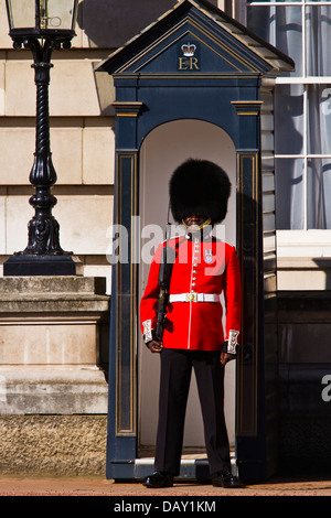 Le protezioni del piede di sentinella a Buckingham Palace di Londra Foto Stock