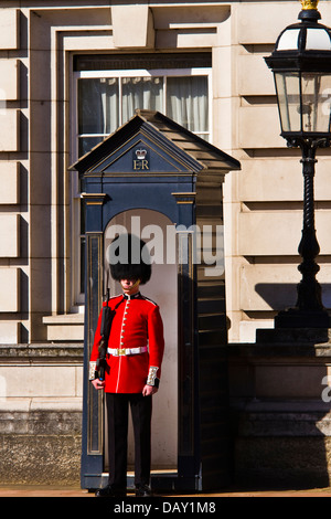 Le protezioni del piede di sentinella a Buckingham Palace di Londra Foto Stock