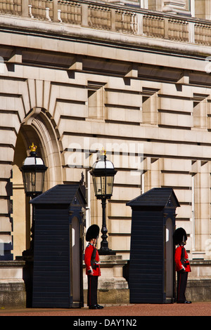 Le protezioni del piede di sentinella a Buckingham Palace di Londra Foto Stock