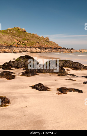 Porthbeer Cove una tranquilla insenatura sulla penisola di Lizard Cornwall Inghilterra REGNO UNITO Foto Stock