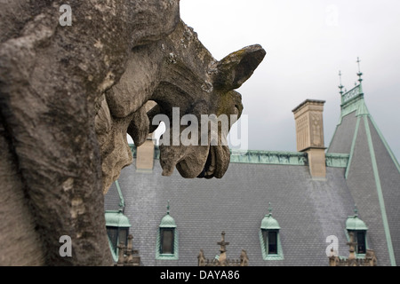 Doccioni sedersi sulla parte superiore del tetto, Biltmore Estate, costruita da George Vanderbilt vicino a Asheville, North Carolina, Stati Uniti d'America Foto Stock