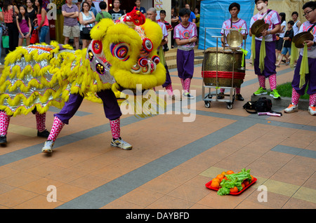 Dance Troupe esegue il cinese la danza del Leone, Singapore Foto Stock