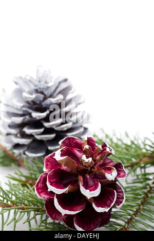 Decorazione per albero di Natale - pigne nelle quali e ago di pino su sfondo bianco. Foto Stock