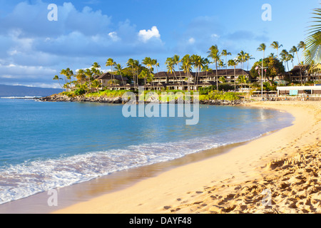 Napili Bay Beach in serata in Maui, Hawaii. Foto Stock