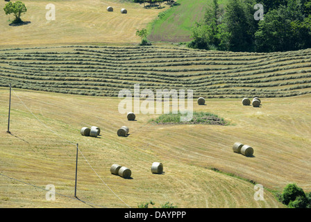 Balle di fieno su terreni agricoli Reggio Emilia colline in Italia la Regione Emilia Romagna Foto Stock