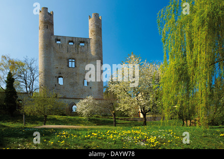 Rovina del castello Hoher Schwarm, Saalfeld, Turingia, Germania Foto Stock