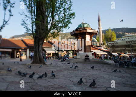 Sebilj (pseudo-stile moresco fontana di legno) la piazza in Bascarsija il quartiere turco nella capitale bosniaca città di Sarajevo. Foto Stock