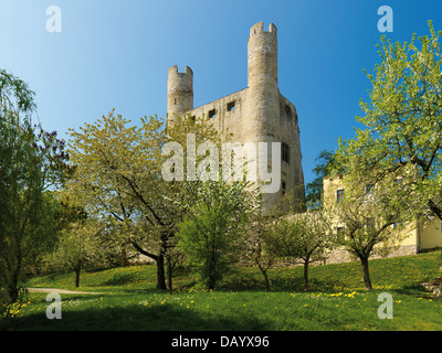 Rovina del castello Hoher Schwarm, Saalfeld, Turingia, Germania Foto Stock