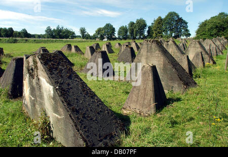 Il cosiddetto Dragon's denti della linea Siegfried nella foto fra Aquisgrana e Monschau, Germania, 08 luglio 2007. Durante la seconda guerra mondiale il drago i denti è servita la Wehrmacht tedesca come anti-serbatoio ostacoli per difendere la linea di Siegfried. Foto: Horst Ossinger Foto Stock