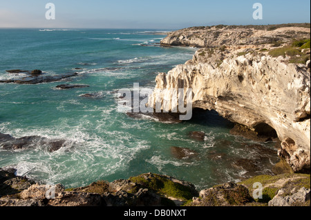 Riserva Waenhuiskrans, Arniston, Sud Africa Foto Stock