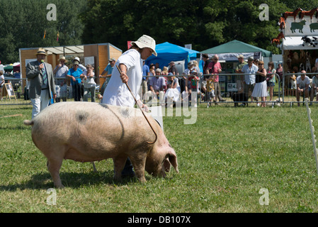 Gestione di maiale al Cotswold visualizza Foto Stock