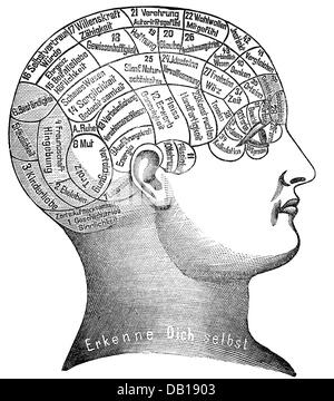 Medicina, anatomia, cervello / cranio, rappresentazione del carattere umano e delle abilità, incisione del legno, da: Friedrich Eduard Bilz, New Naturopathic Treatment, Lipsia, Germania, 1902, Additional-Rights-Clearences-Not Available Foto Stock