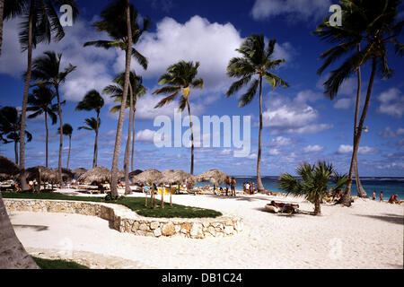 La foto mostra le palme Beach in Punta Cana Repubblica Dominicana, luglio 2007. Foto: Friedel Gierth Foto Stock