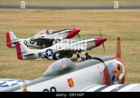 Una linea di modello P51 Mustang e P47 combattenti Thunderbolt, modello grande aeromobili mostrano a RAF Cosford, Shropshire, Regno Unito, Luglio 2013 Foto Stock